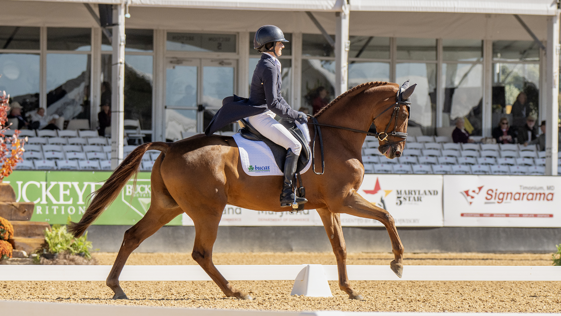 Maryland 5 Star dressage: Jennie Brannigan and FE Lifestyle