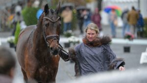 Jonelle Price and Hiarado at Pau Horse Trials first trot-up