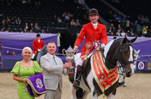 Oliver Hood and Indigo Jones stand HOYS maxi cob of the year