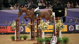 Laura Renwick clears an oxer riding chestnut Cottee in front of the signature HOYS purple drapes.