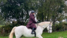 Rider wears LeMieux All Elements robe on horse, viewed from the side
