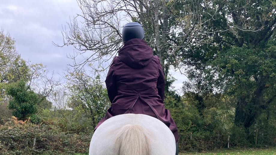Rider wears LeMieux All Elements robe on horse, viewed from the back