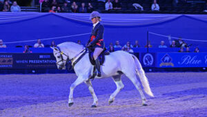 Amy Canavan-Smith and Clonfert Melody's Boy trot out of the ring after taking the mountain and moorland working hunter pony championship.