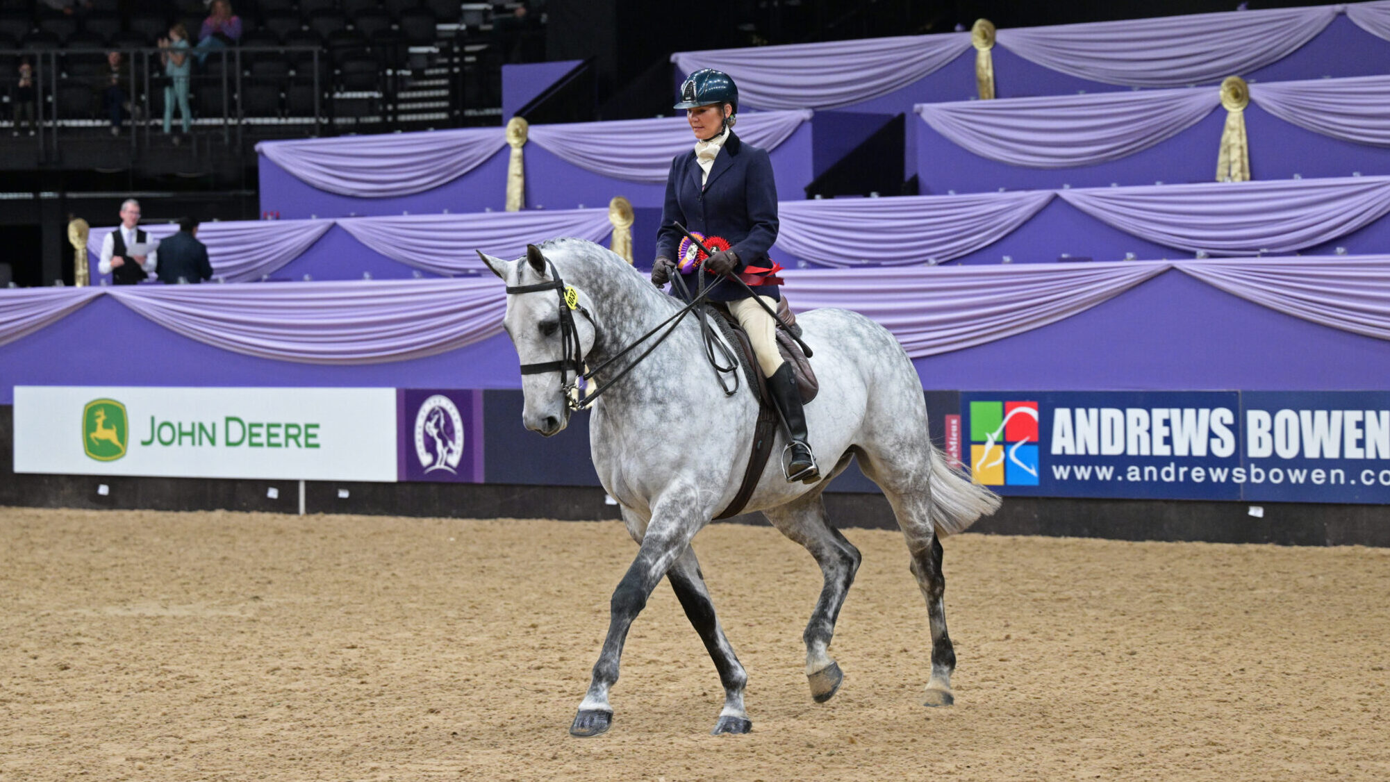 Sarah Walker stages a stunning comeback after horrific injury to win at HOYS aboard Crystal Cove II