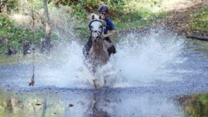 Rider cantering through water on horse