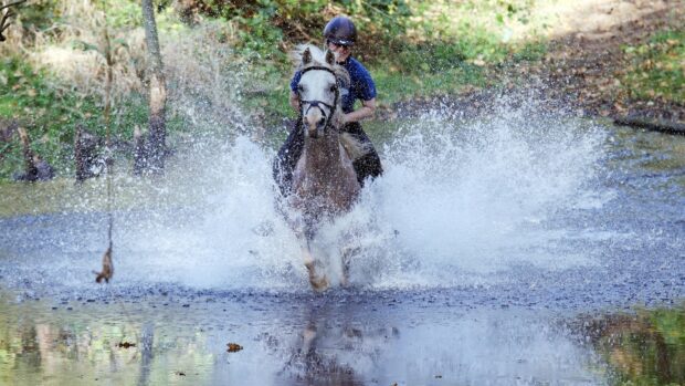 Rider cantering through water on horse
