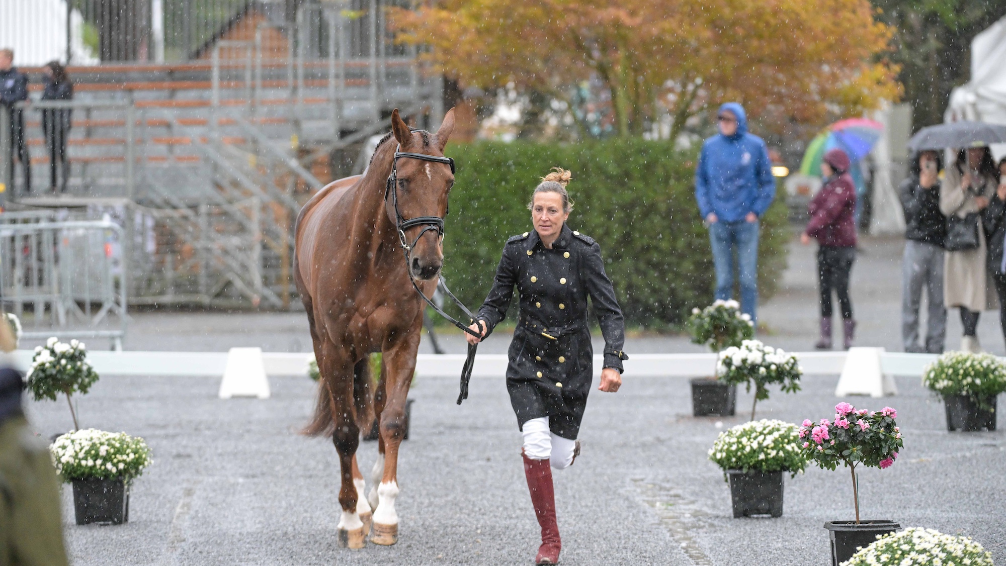 Pau horse trials first trot-up