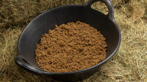 Close up of Spillers Speedy Mash soaked fibre feed hay replacer