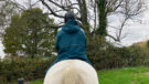Rider wears Two Bare Feet Hi-Vis Lightweight Riding Robe on a horse, viewed from the back