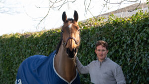 Tom McEwen holds Toledo De Kerser wearing a headcollar and a blue summer sheet in front of a hedge at his base.
