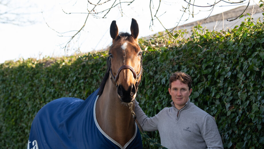 Tom McEwen holds Toledo De Kerser wearing a headcollar and a blue summer sheet in front of a hedge at his base.