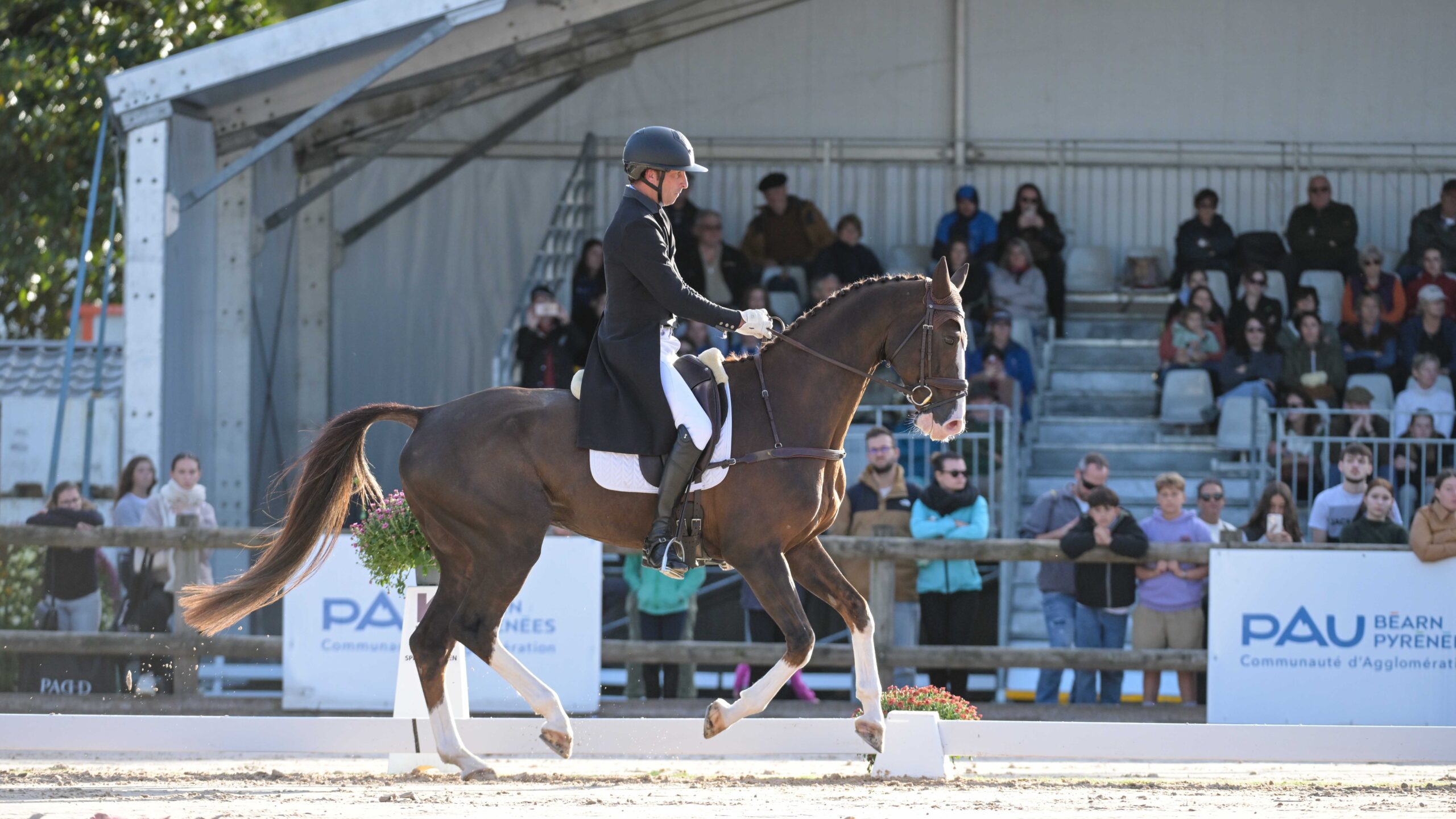 Pau Horse Trials dressage - Jarillo and Tim Price; Bubby Upton leads