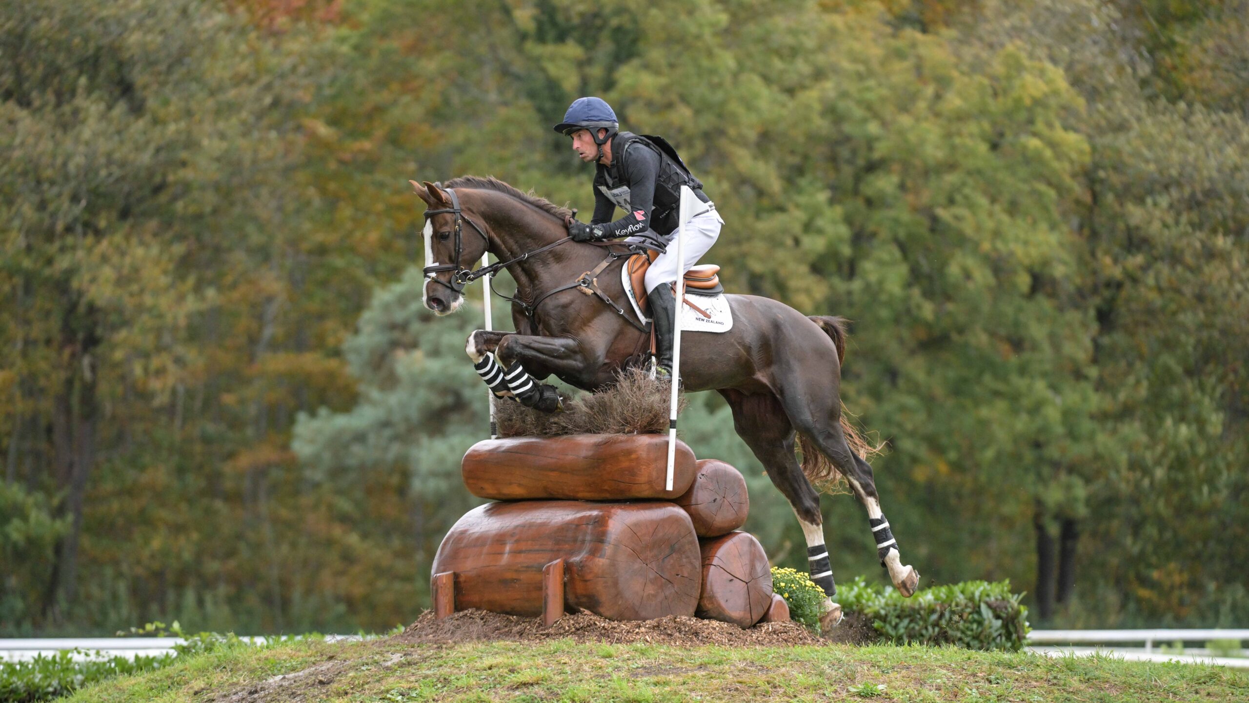 Tim Price and Jarillo over Pau Horse Trials cross-country