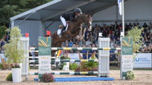 Tim Price is the winner of Pau Horse Trials with Jarillo