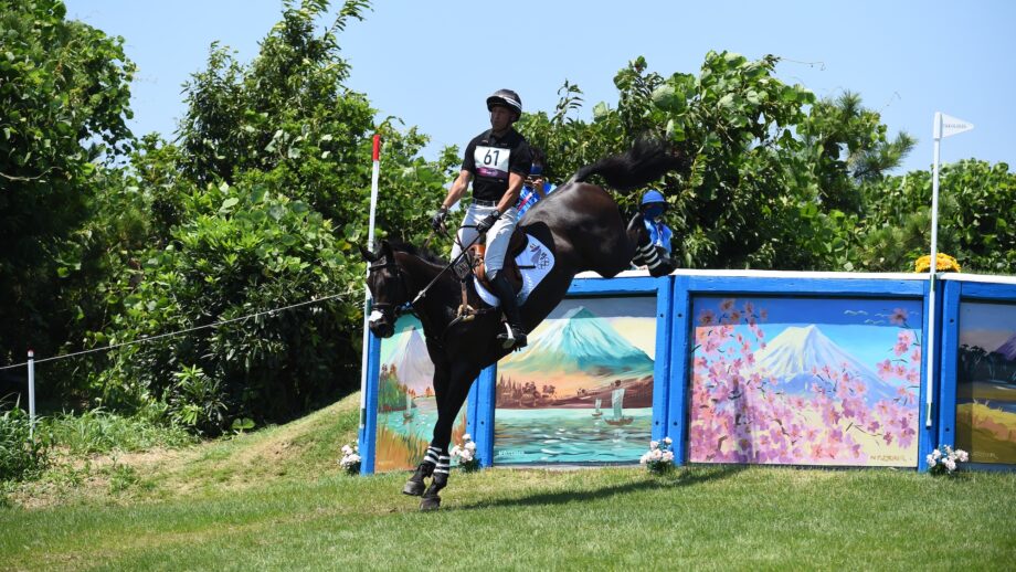 Tim Price and Vitali at Tokyo Olympics: jumping cross-country drop fences