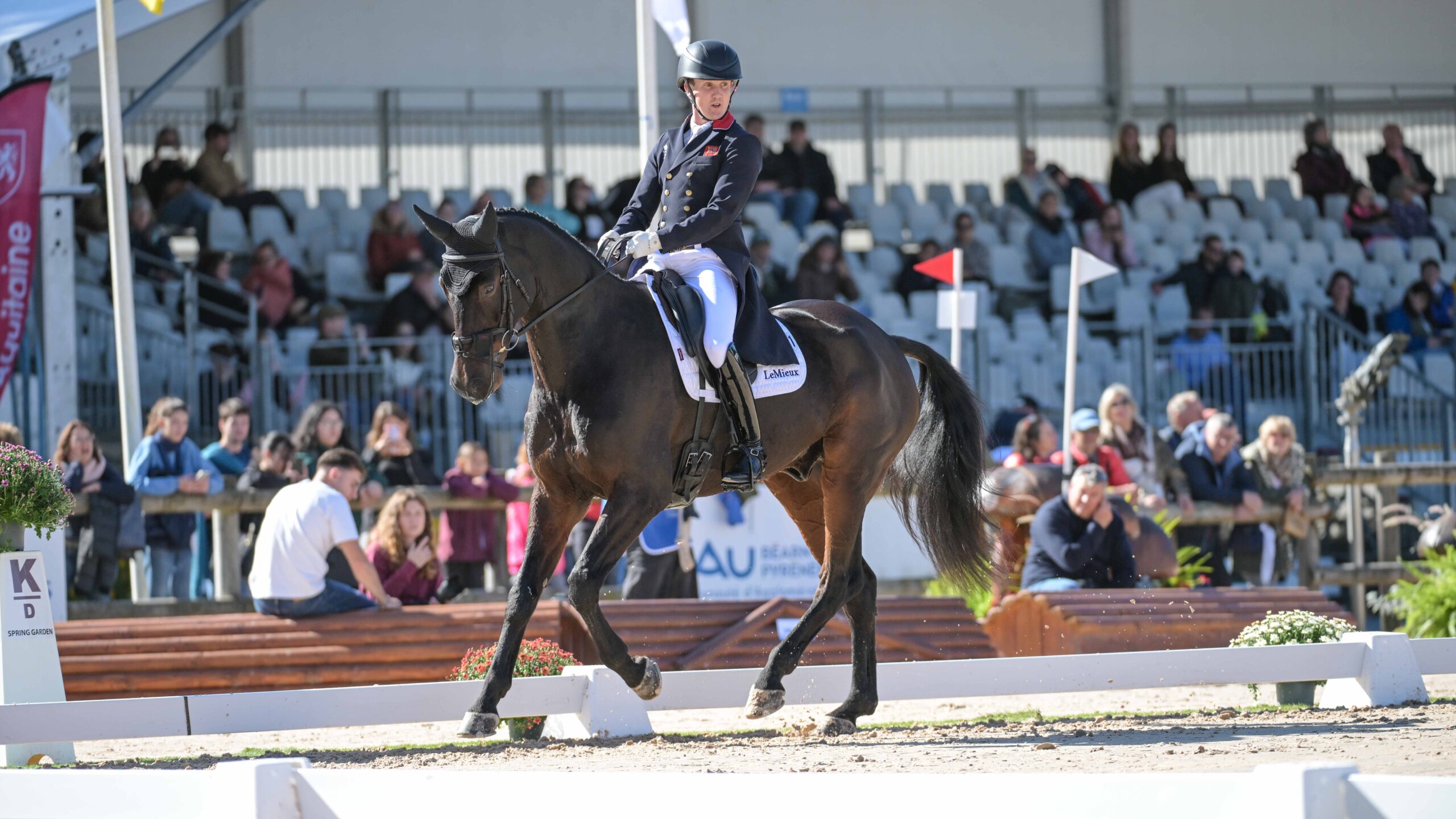Tom McEwen and Brookfield Quality at Pau Horse Trials dressage