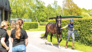 seller/sellers declaration from beva