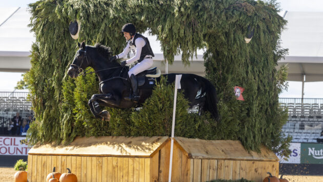 ‘If you need a strong woman, she’s there’ – mare takes top spot at Maryland 5 Star in showjumping shake-up