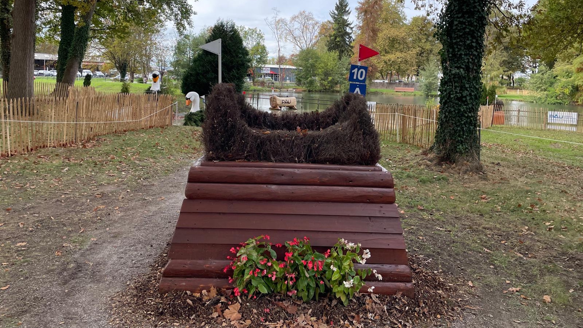 Boxy hedge at Pau fence 10a