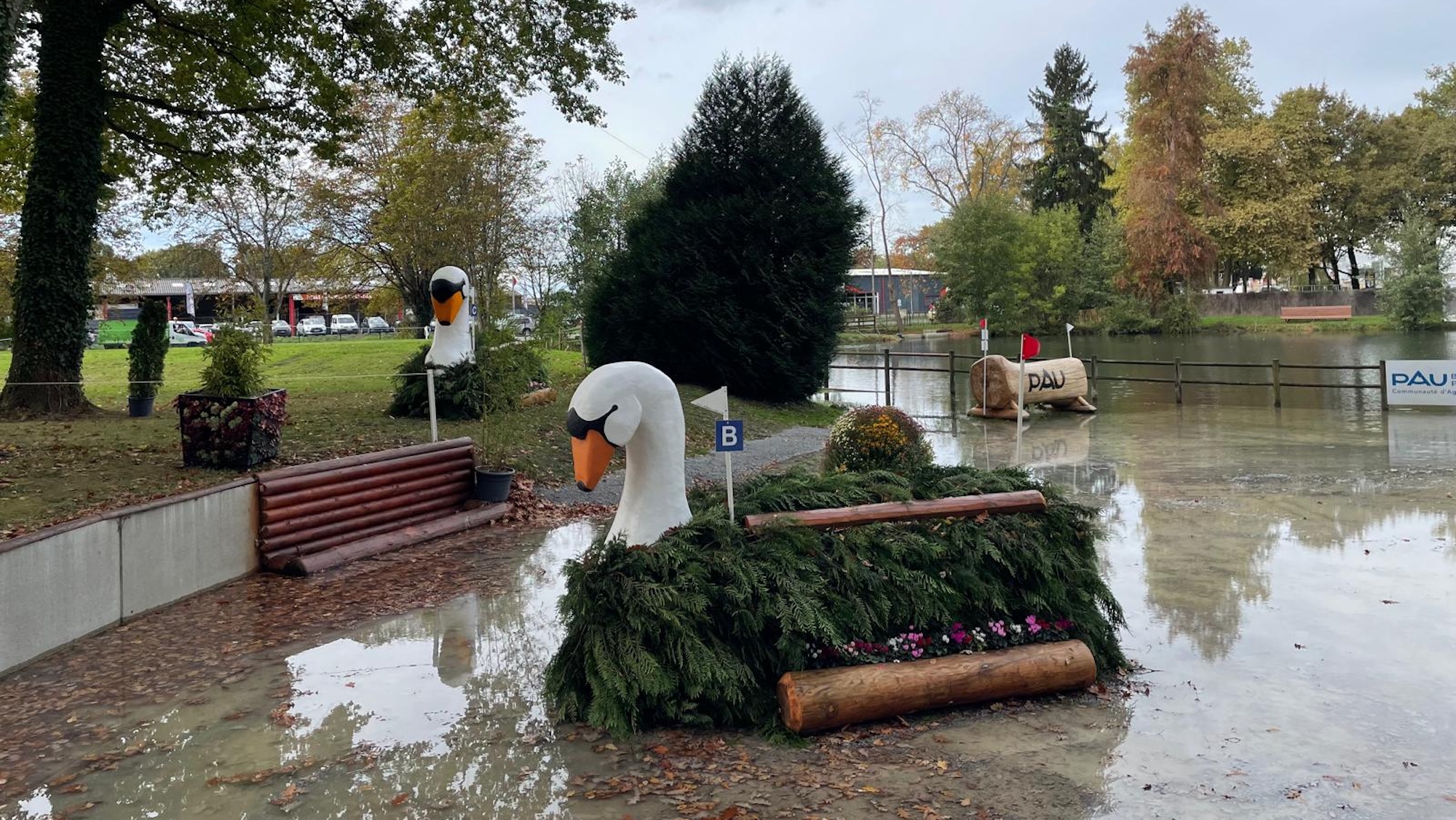 Carved swans in water fence 10b at Pau