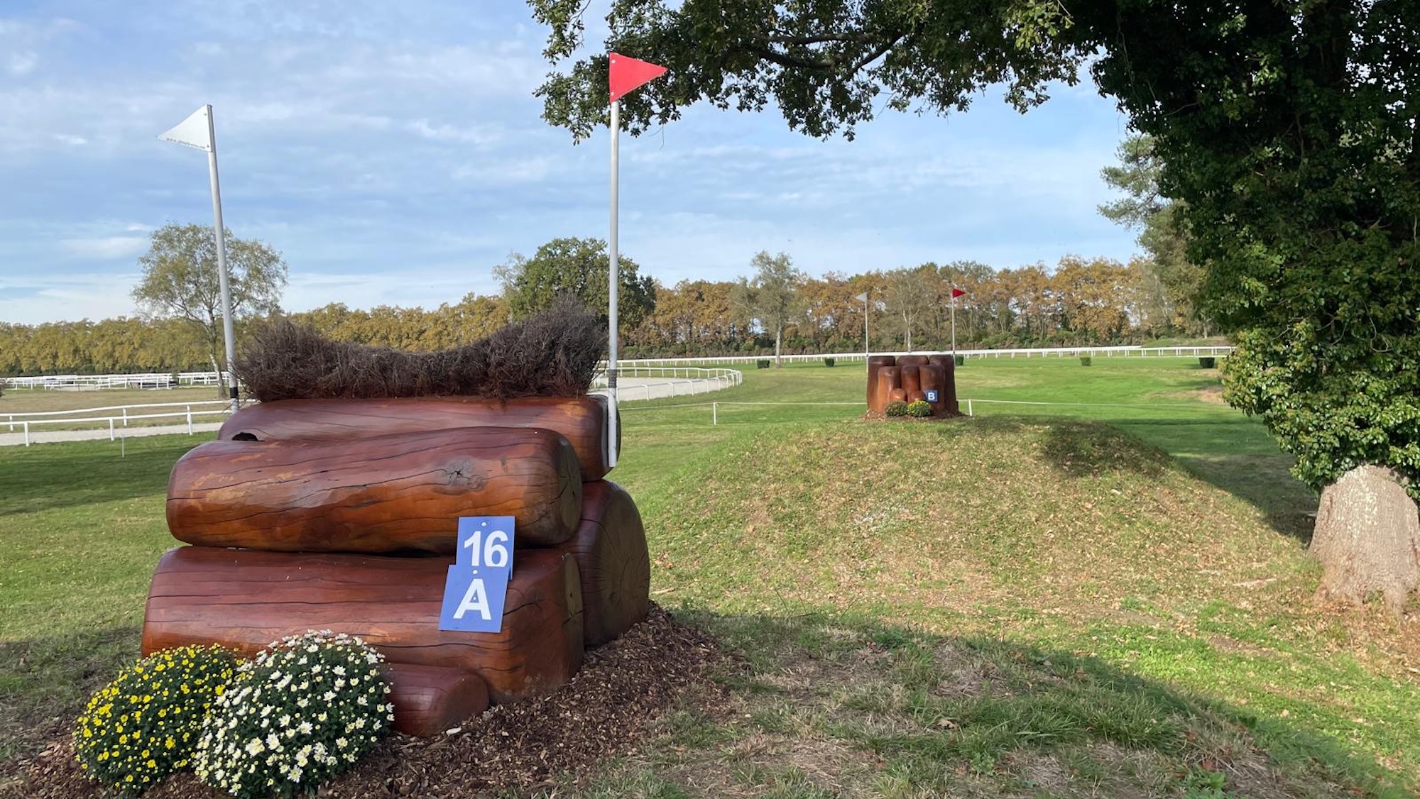 fence 16 ab at Pau Horse Trials cross-country