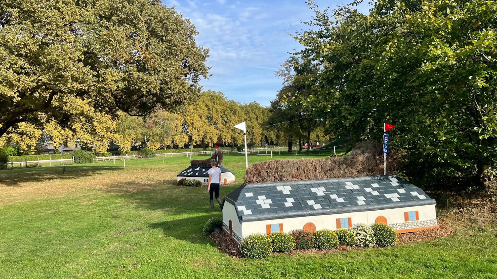 House fences at 27abcd at Pau