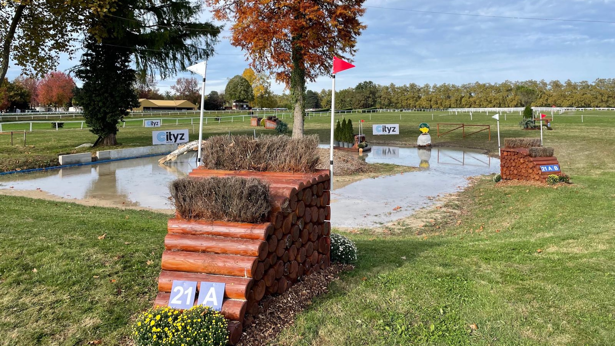 Pau Horse Trials cross-country times for the leading contenders