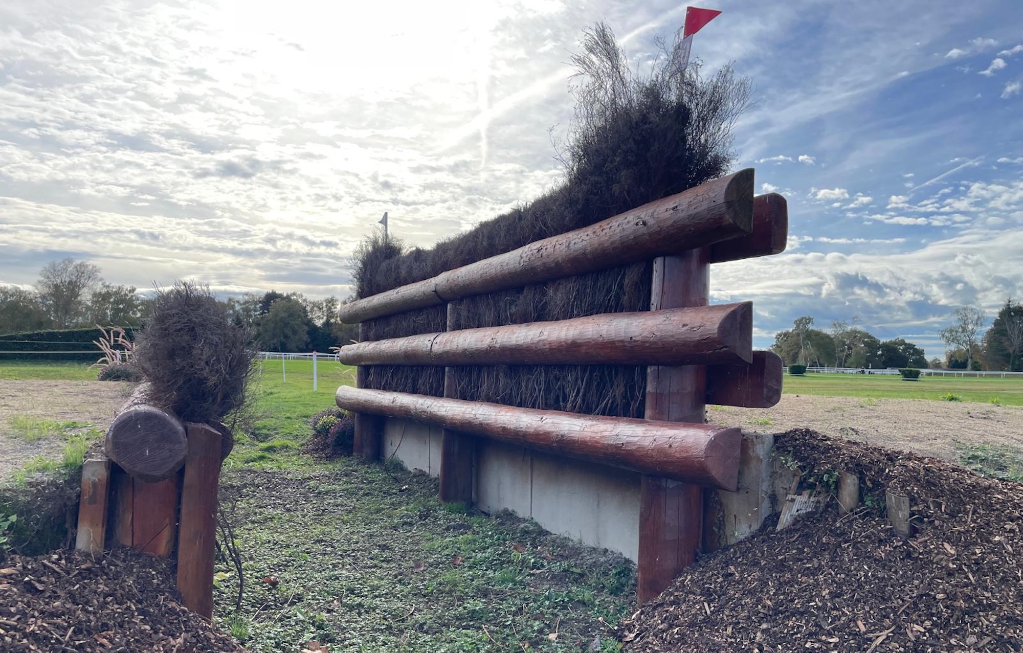 Open ditch and brush at Pau fence 20