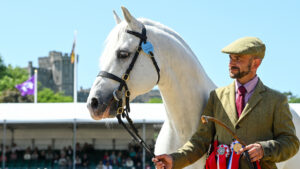 M&M Champion at Windsor standing in front of the Castle