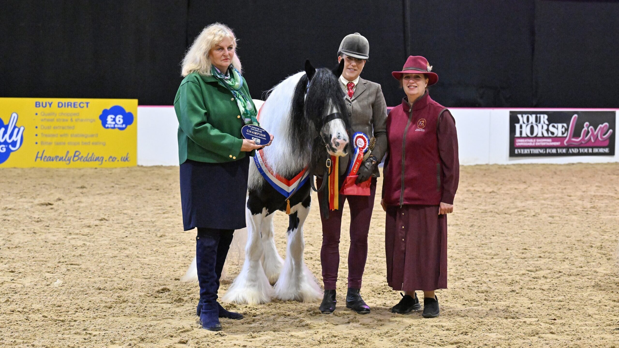 Clare Castle with Minnie