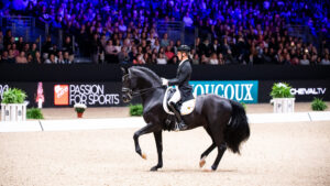 Justin Verboomen and Zonik Plus win the World Cup qualifier in Lyon.