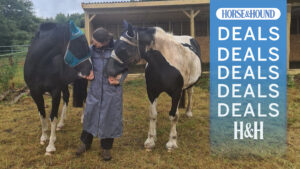 Women wearing a long grey waterproof dog walking coat stood between two horses