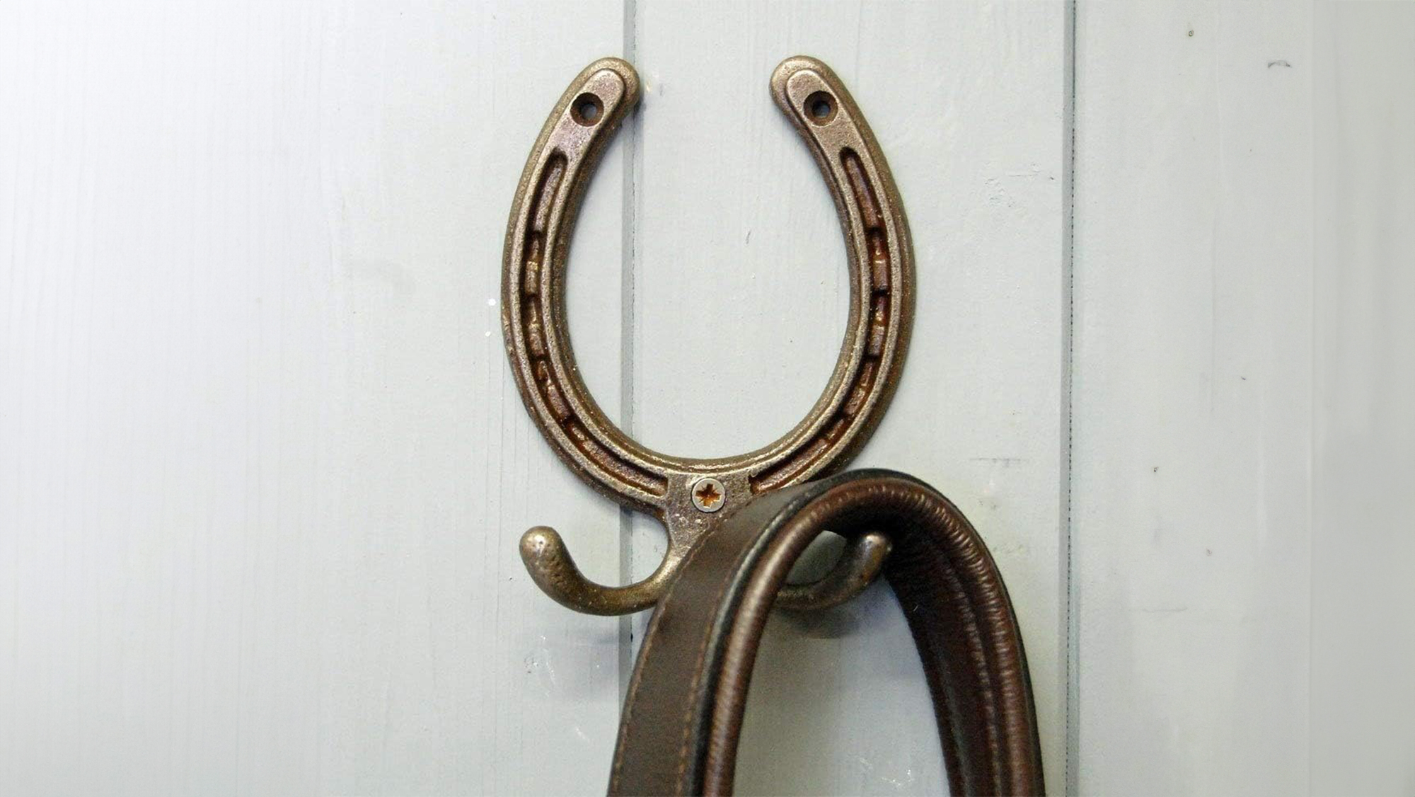Bowley & Jackson Horseshoe Door Hook