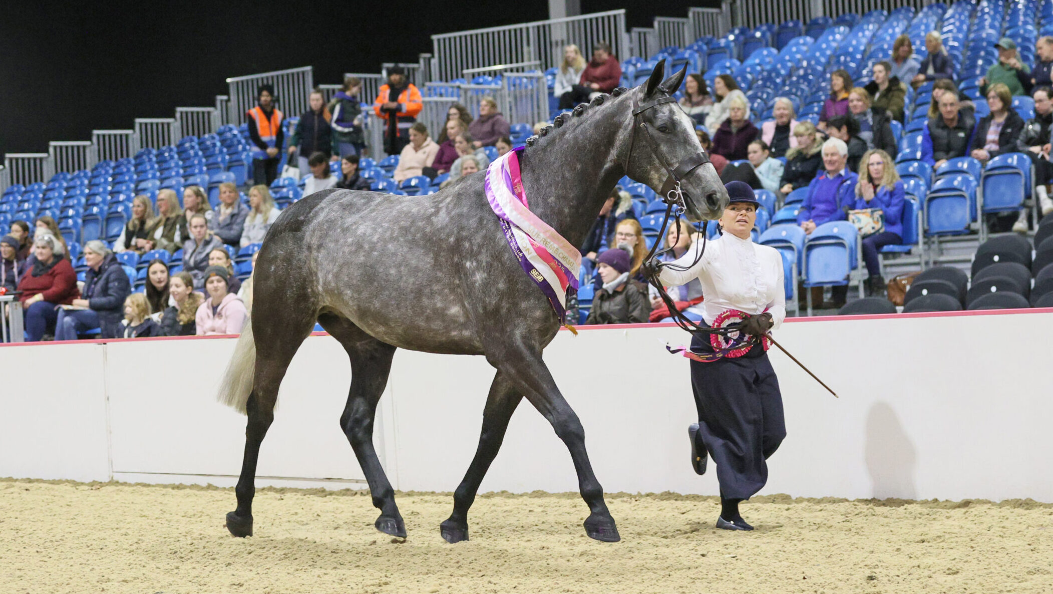 Hannah Brown leading We Ride At Dawn