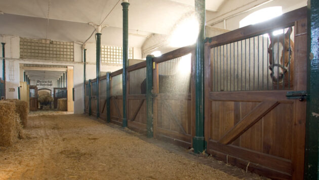 Indoor stables with dust in the air