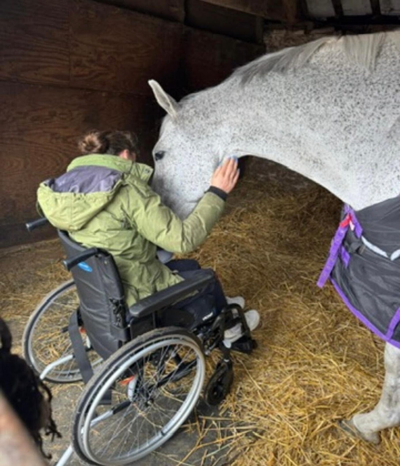 Equestrian community rallies to support rider paralysed in schooling fall