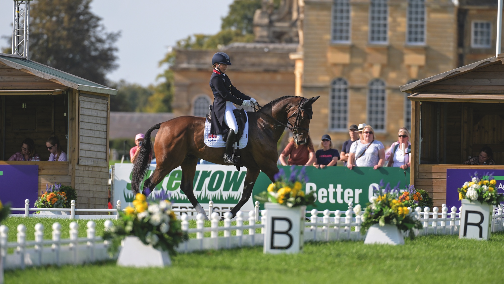 Laura Collett doing dressage at European Championships on London 52