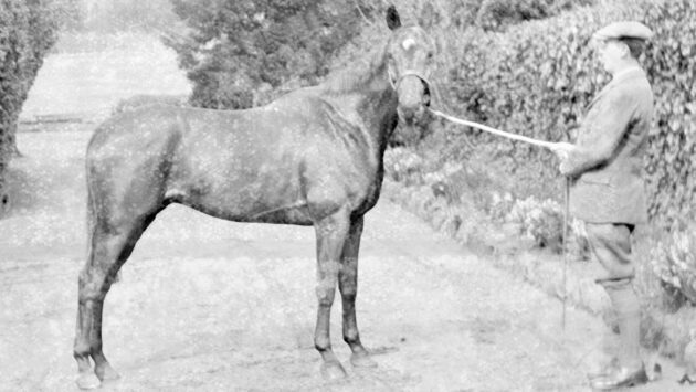 Jack Seely’s Warrior