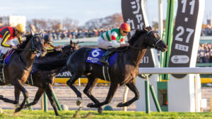 Horses racing to the post in the Japan Cup