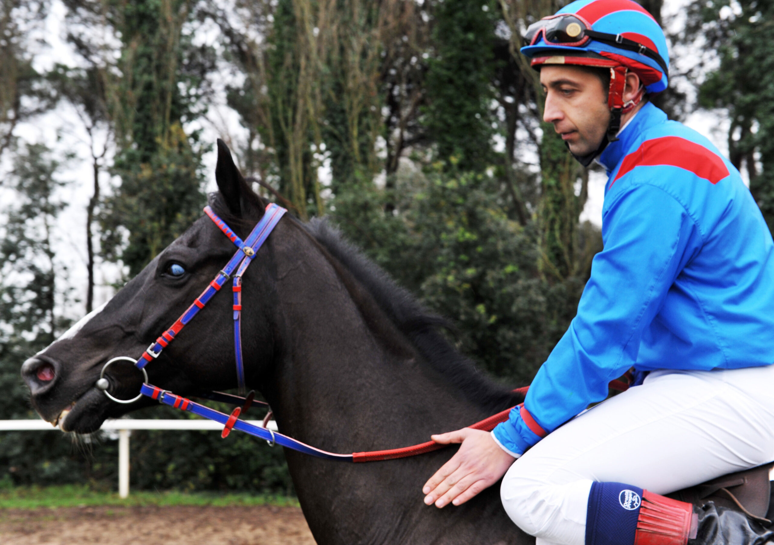 Jockey and owner Federico De Paola rides his blind racehorse Laghat