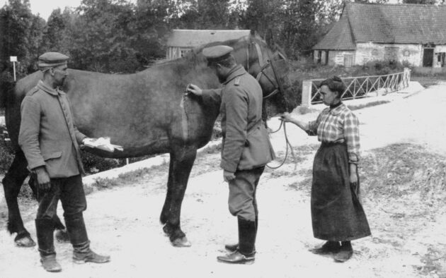 A German veterinary surgeon treating a French war horse that was wounded by an aero-bomb, France, circa 1917.