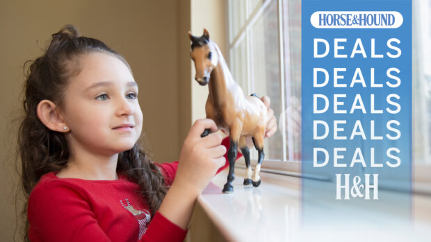 Child plays with a horse figurine on a windowsill