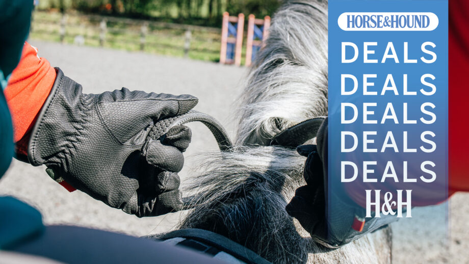 Close up of gloved hands holding the reins with H&H deals overlay