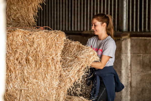 Lady separating slices of straw for horses