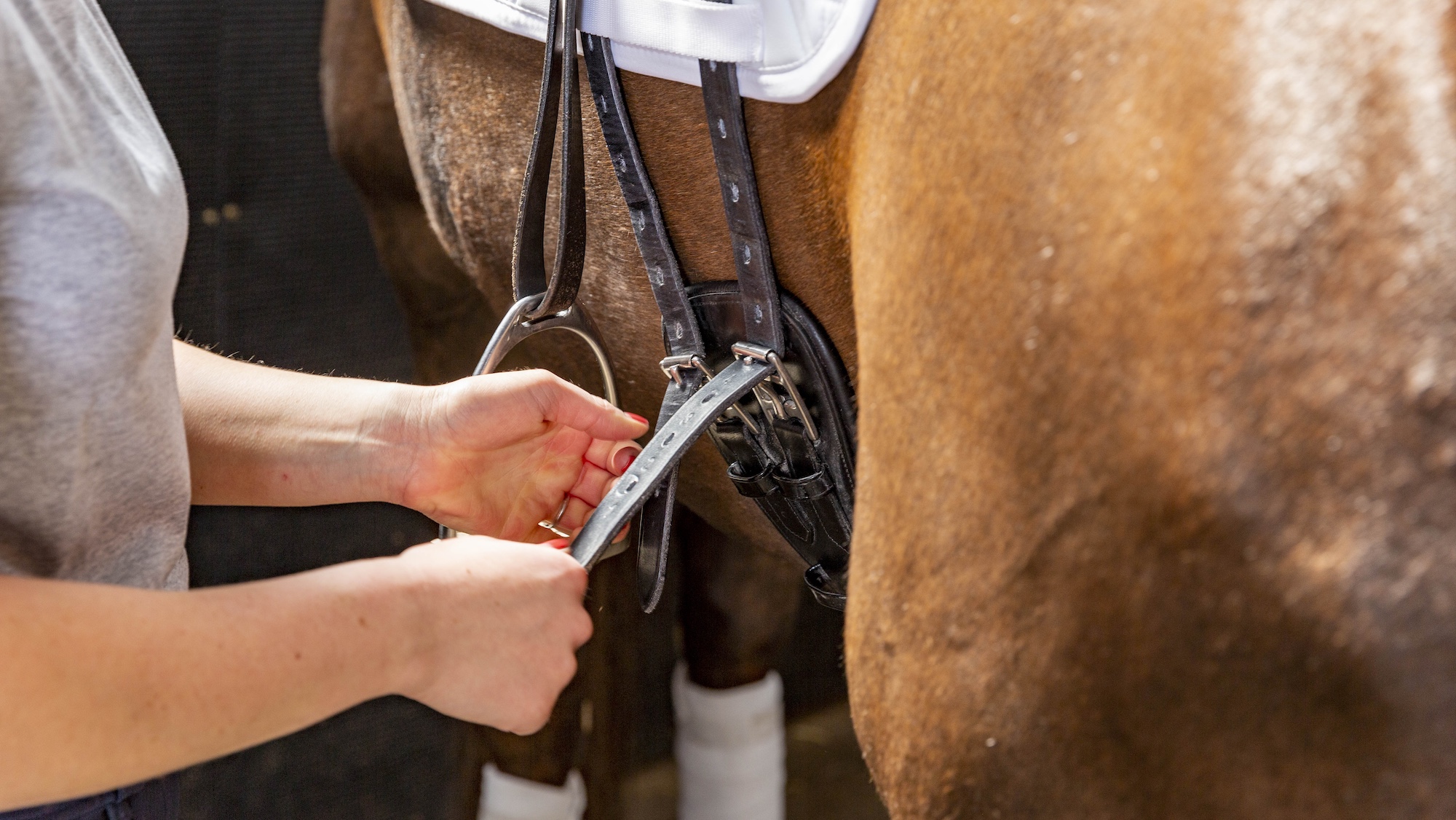 ‘When whips are fashion accessories, what message does that send?’ asks equine welfare expert