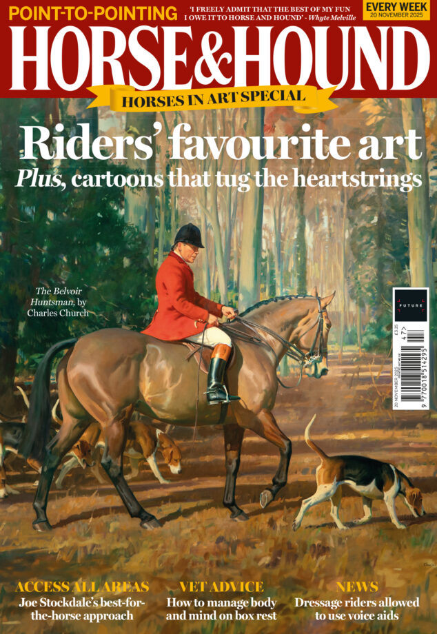 Painting of a red-coated huntsman mounted and a hound on the cover of Horse & Hound, in shops 20 Novmeber