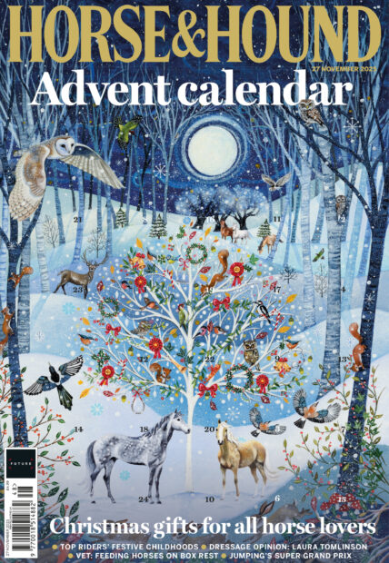 Horse & Hound advent calendar cover for the advent special, in shops from 27 November