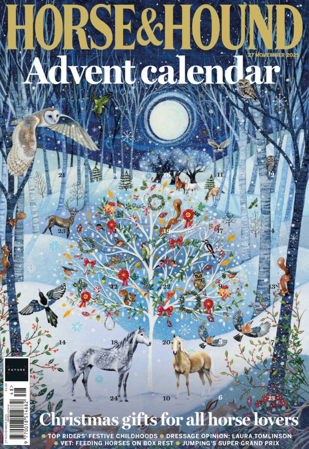 Horse & Hound advent calendar cover for the advent special, in shops from 27 November