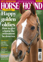 Cover of Horse & Hound magazine featuring a headshot of chestnut gelding, Billy Angelo, on sale 6 November