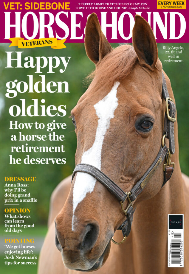 Cover of Horse & Hound magazine featuring a headshot of chestnut gelding, Billy Angelo, on sale 6 November